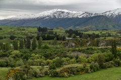 New-Zealand-11