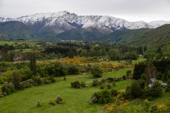 New-Zealand-12