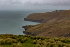 New-Zealand-2