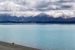 New-Zealand-5
