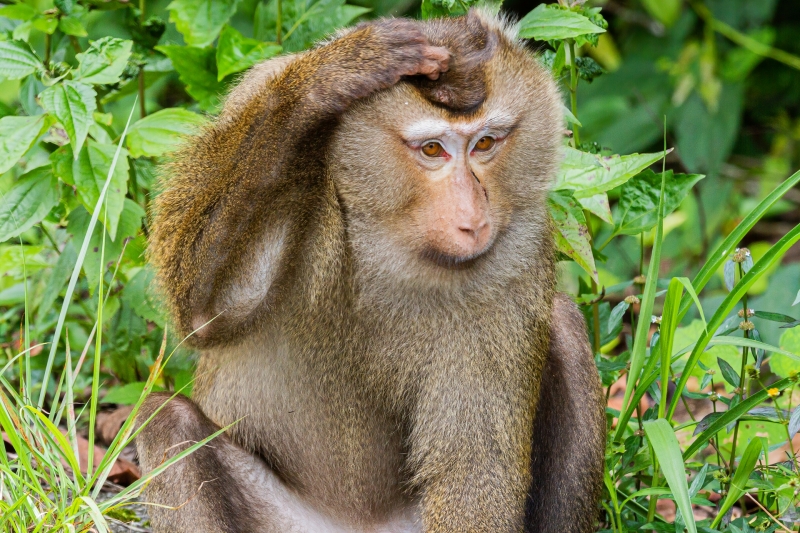 Thailand-32
