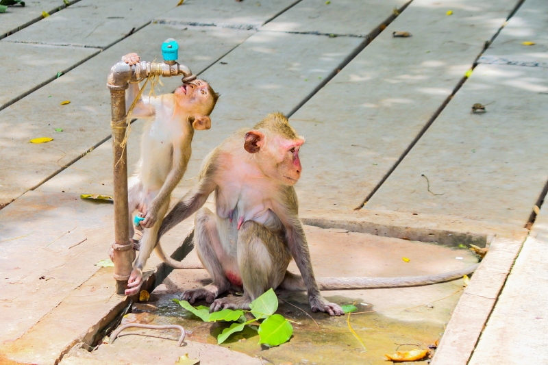 Thailand-4