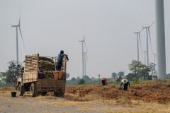 Cassava Root and Wind Turbines