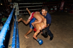 Fighters in Action