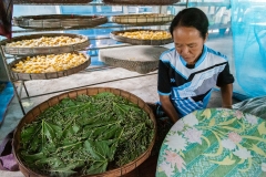 Thailand-226