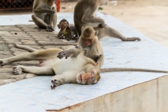 Thailand-6