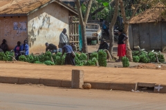 Uganda-11
