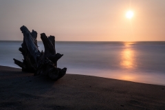 Driftwood at Sunset