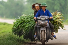 Elderly Vietnamese Couple on Motorbike