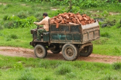 Man Driving a Truck of Bricks