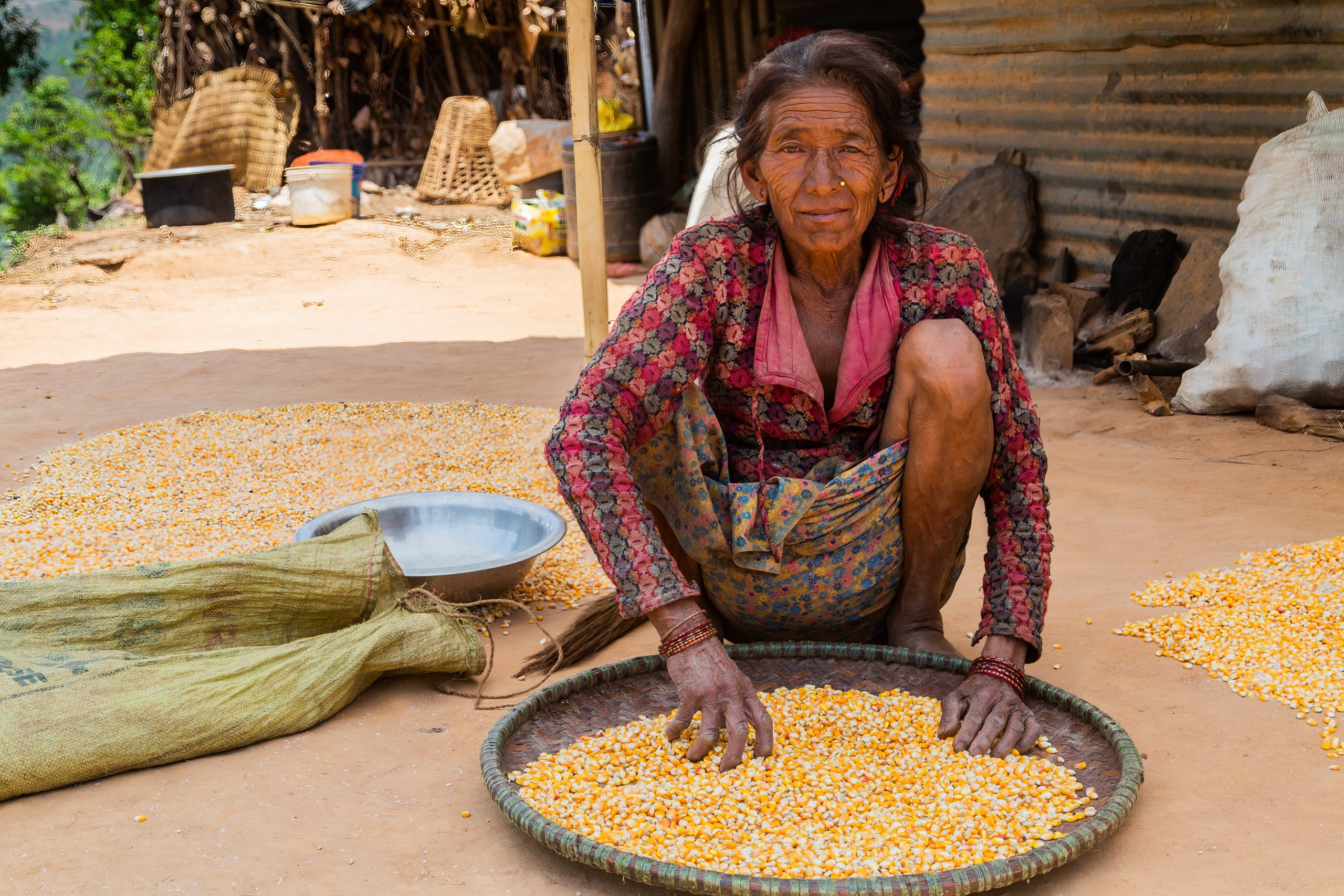 nepalese woman with corn